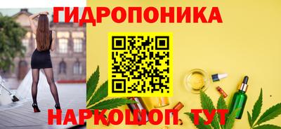 молекула духа Северобайкальск