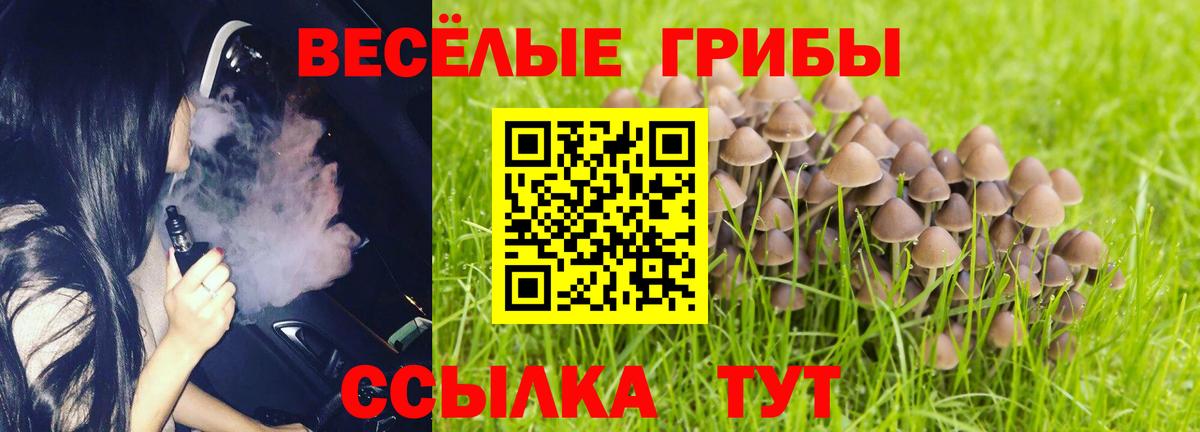 Галлюциногенные грибы GOLDEN TEACHER  Псилоцибиновые грибы Psilocybine cubensis  Вход с VPN  Балашиха 